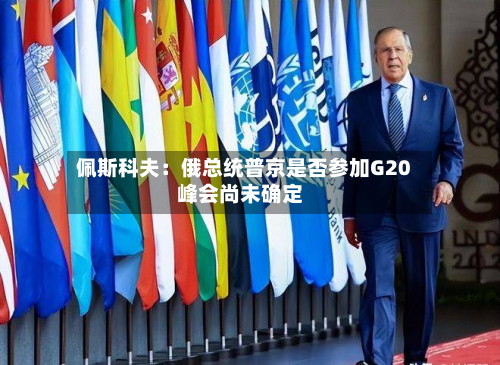佩斯科夫:俄总统普京是否参加G20峰会尚未确定-第2张图片