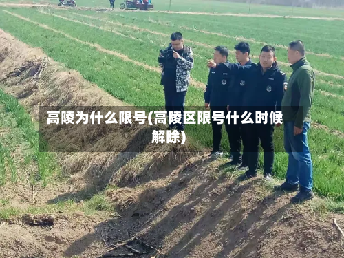 高陵为什么限号(高陵区限号什么时候解除)