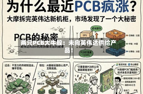 两只PCB大牛股:未向英伟达供给产品!-第2张图片