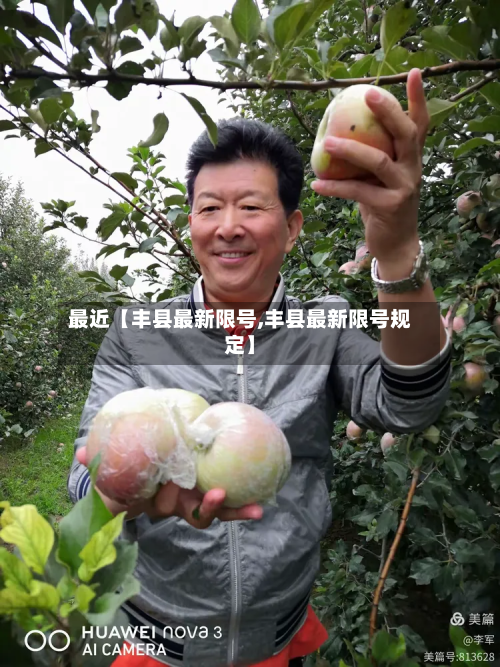 最近【丰县最新限号,丰县最新限号规定】