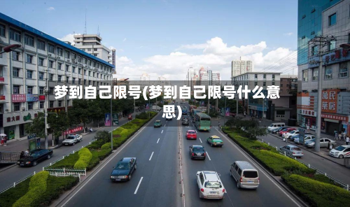 梦到自己限号(梦到自己限号什么意思)