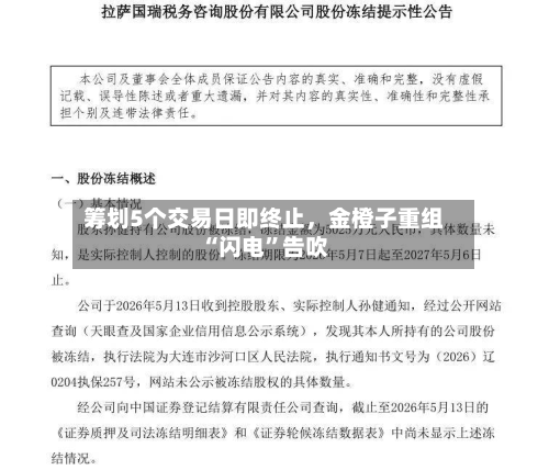 筹划5个交易日即终止	，金橙子重组“闪电”告吹-第2张图片