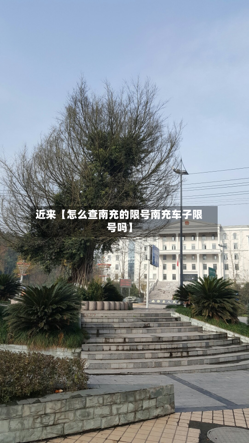 近来【怎么查南充的限号南充车子限号吗】