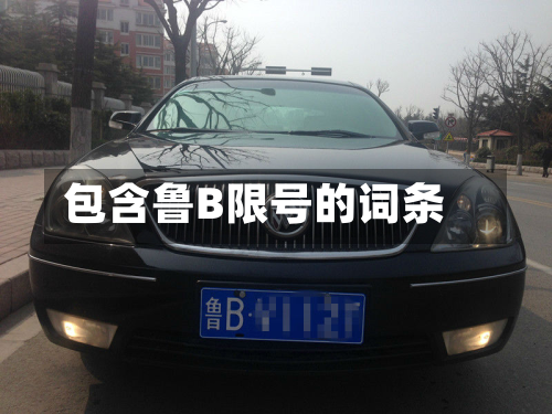 包含鲁B限号的词条