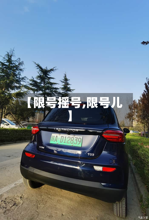 【限号摇号,限号儿】
