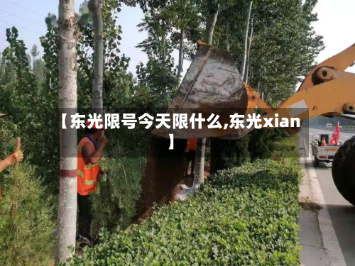 【东光限号今天限什么,东光xian】