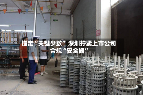 锚定“关键少数” 深圳拧紧上市公司合规“安全阀	”-第3张图片