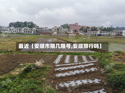 最近【安顺市限几限号,安顺限行吗】