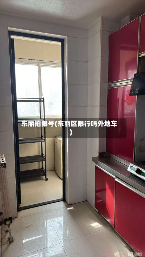 东丽拍限号(东丽区限行吗外地车)