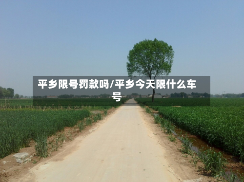 平乡限号罚款吗/平乡今天限什么车号
