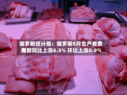 俄罗斯统计局：俄罗斯8月生产者费用指数同比上涨6.5% 环比上涨0.9%