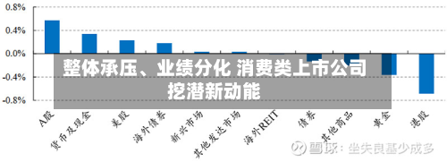 整体承压、业绩分化 消费类上市公司挖潜新动能-第2张图片