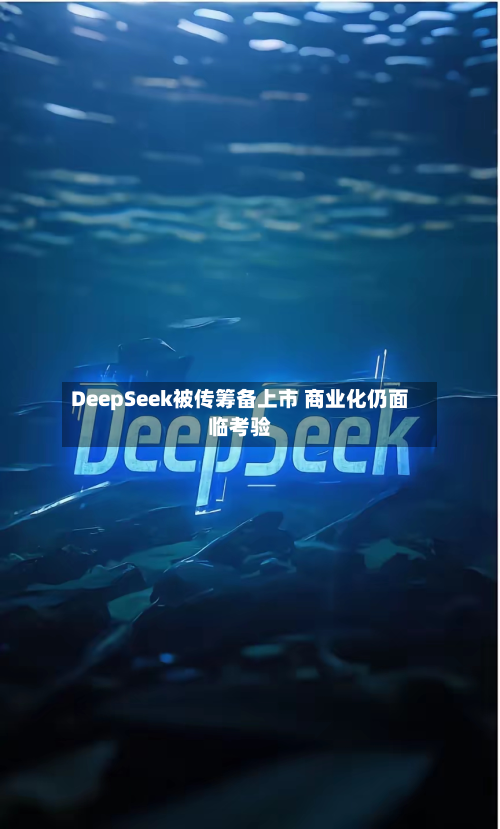 DeepSeek被传筹备上市 商业化仍面临考验-第2张图片