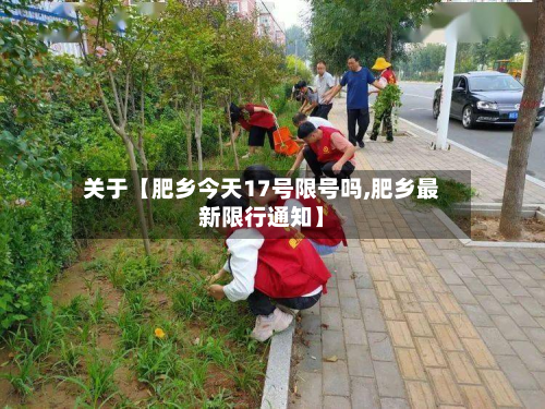 关于【肥乡今天17号限号吗,肥乡最新限行通知】