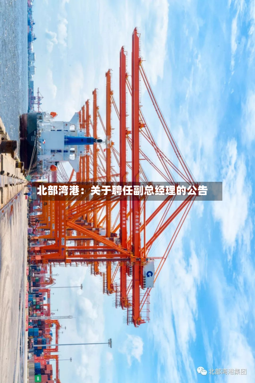 北部湾港:关于聘任副总经理的公告