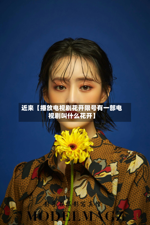 近来【播放电视剧花开限号有一部电视剧叫什么花开】-第3张图片