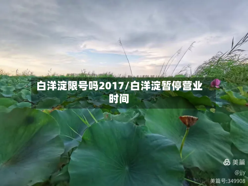 白洋淀限号吗2017/白洋淀暂停营业时间-第3张图片