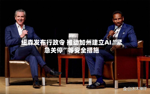 纽森发布行政令 推动加州建立AI“紧急关停	”等安全措施-第2张图片