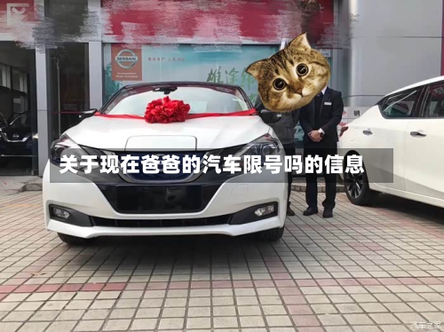 关于现在爸爸的汽车限号吗的信息