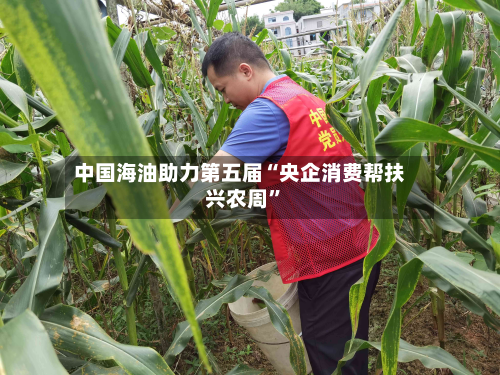 中国海油助力第五届“央企消费帮扶兴农周”-第2张图片