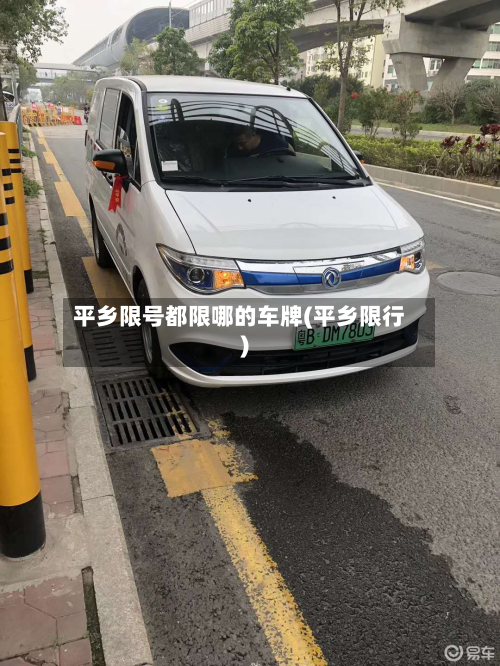 平乡限号都限哪的车牌(平乡限行)