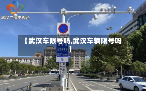 【武汉车限号吗,武汉车辆限号吗】-第3张图片