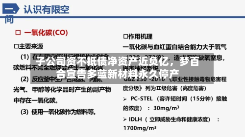 子公司资不抵债净资产近负亿，梦百合宣告多蓝新材料永久停产-第2张图片