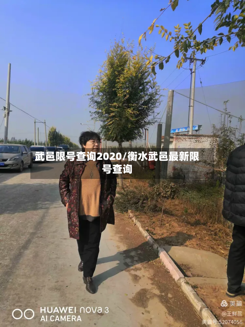 武邑限号查询2020/衡水武邑最新限号查询-第2张图片