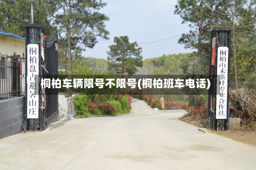 桐柏车辆限号不限号(桐柏班车电话)