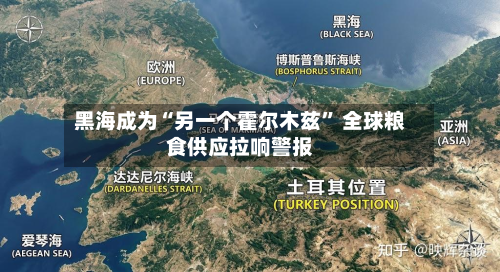 黑海成为“另一个霍尔木兹” 全球粮食供应拉响警报-第2张图片