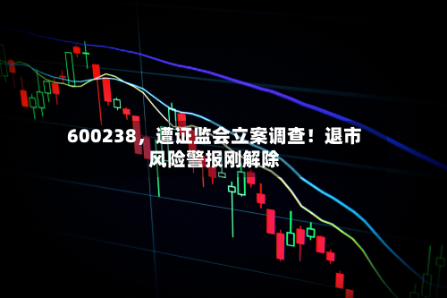 600238，遭证监会立案调查！退市风险警报刚解除-第3张图片