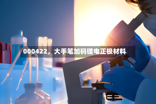 000422，大手笔加码锂电正极材料-第3张图片