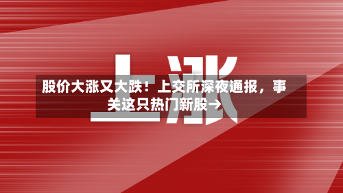 股价大涨又大跌！上交所深夜通报	，事关这只热门新股→-第3张图片