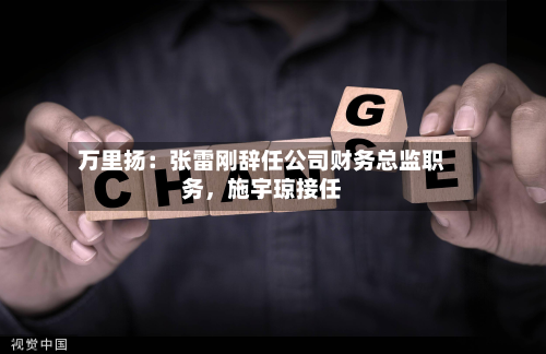 万里扬：张雷刚辞任公司财务总监职务，施宇琼接任-第2张图片