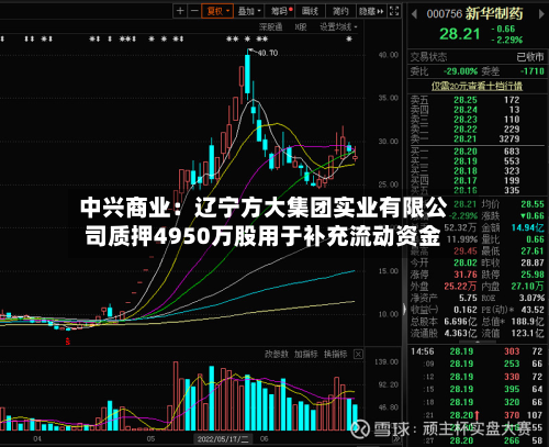 中兴商业:辽宁方大集团实业有限公司质押4950万股用于补充流动资金