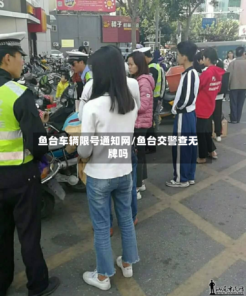 鱼台车辆限号通知网/鱼台交警查无牌吗-第2张图片