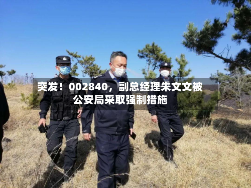 突发！002840	，副总经理朱文文被公安局采取强制措施-第3张图片