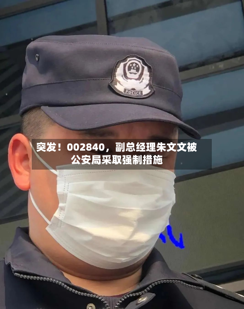 突发！002840，副总经理朱文文被公安局采取强制措施-第2张图片