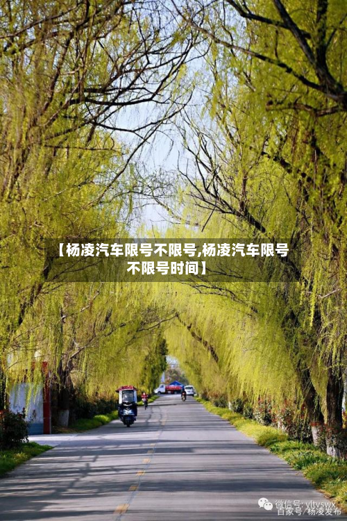 【杨凌汽车限号不限号,杨凌汽车限号不限号时间】-第2张图片