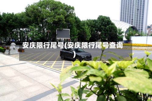 安庆限行尾号(安庆限行尾号查询)