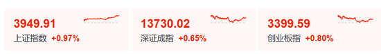 “小作文	”，引发的大涨！
