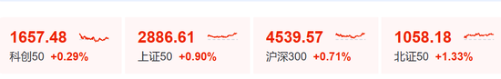 “小作文”	，引发的大涨！